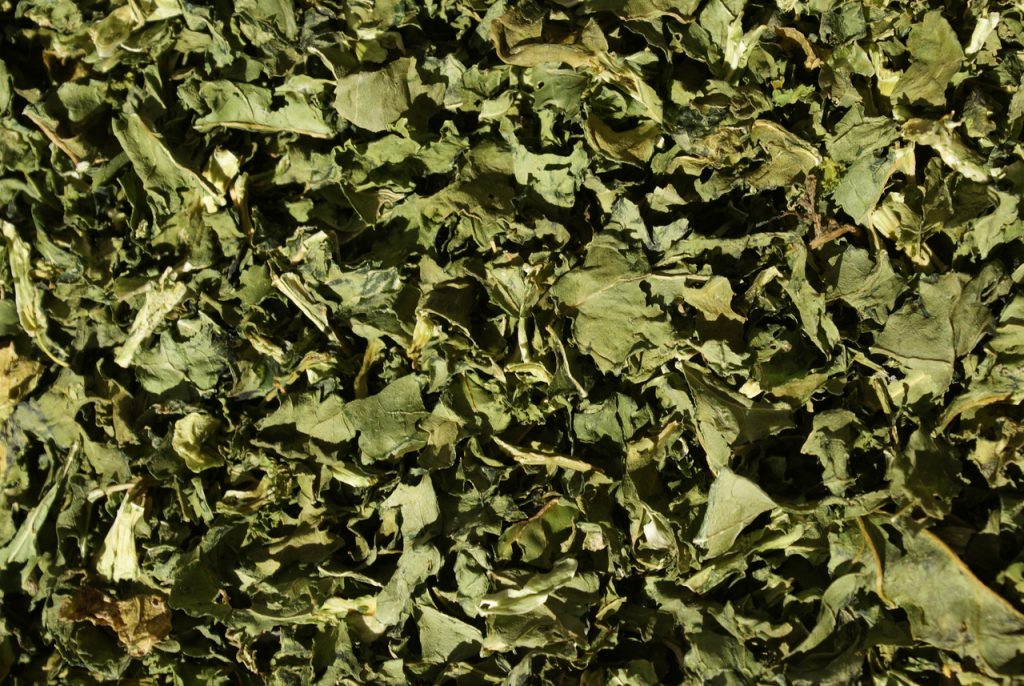 Kale Leaves